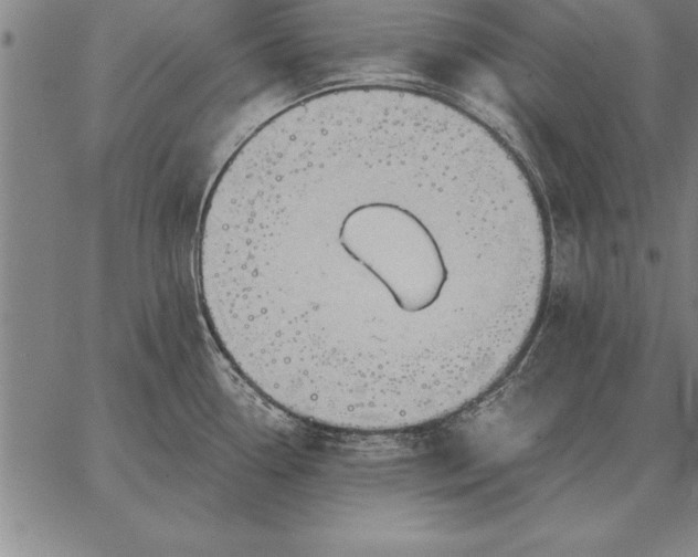 X0000067351338200604131741