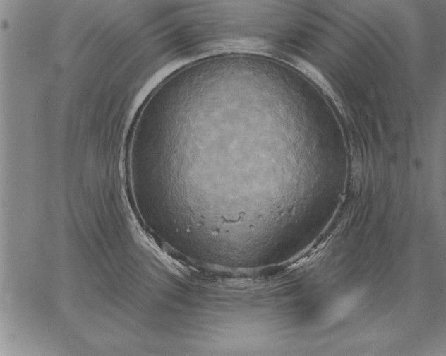 X0000067351339200604131741