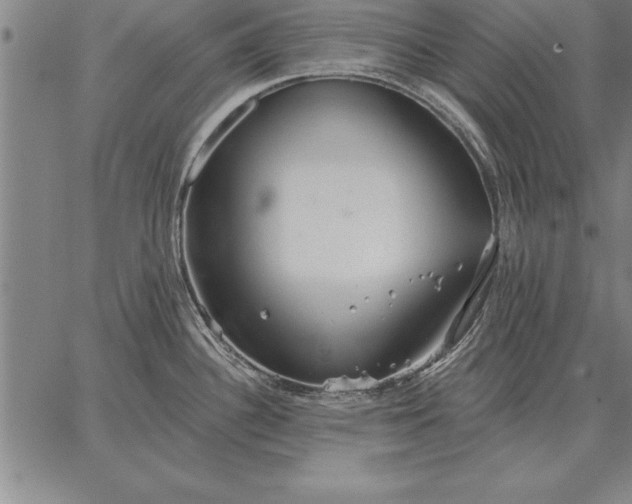 X0000067351340200604131741