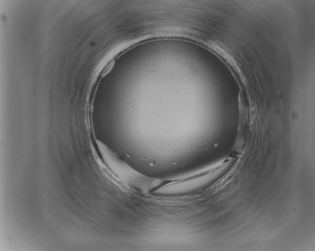 X0000067351342200604131741