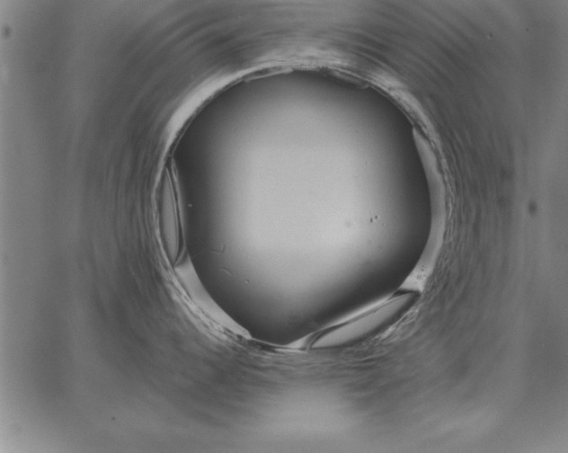 X0000067351344200604131741