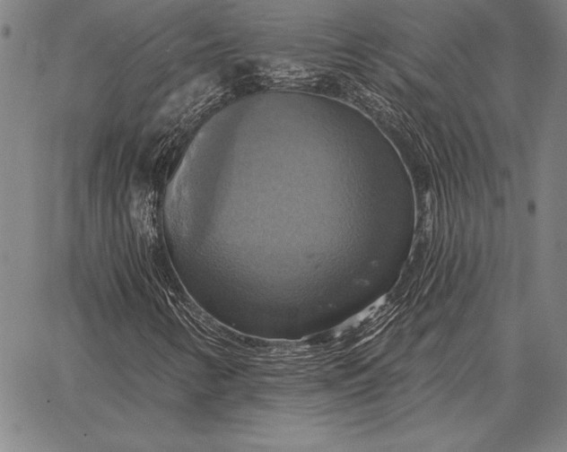 X0000067351346200604131740