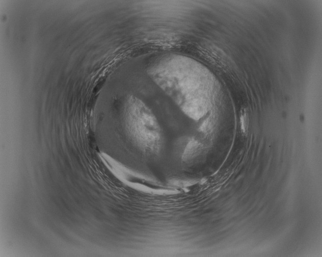 X0000067351347200604131740