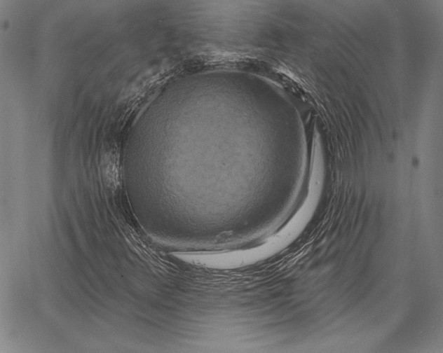 X0000067351348200604131740