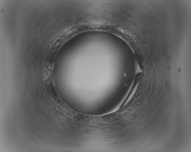 X0000067351349200604131740