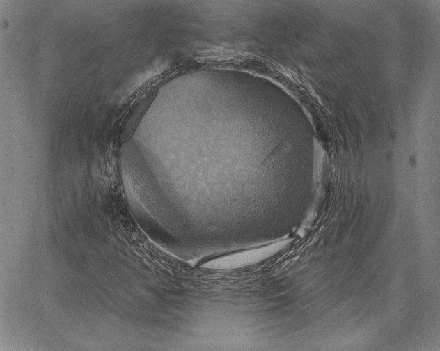 X0000067351350200604131740