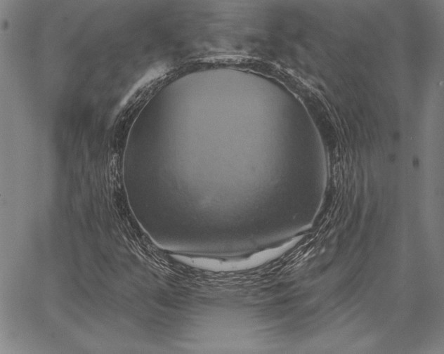 X0000067351351200604131740