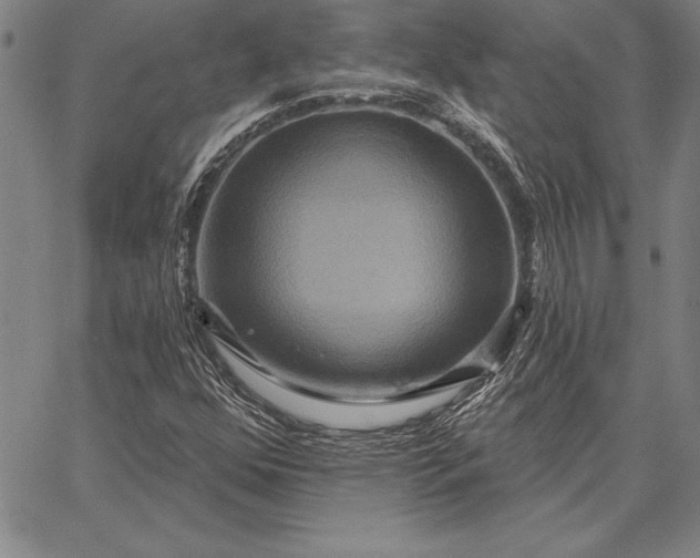 X0000067351352200604131740