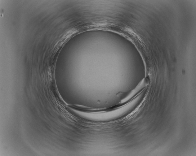 X0000067351353200604131740