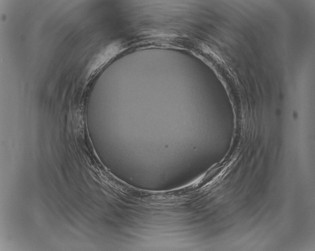 X0000067351354200604131740