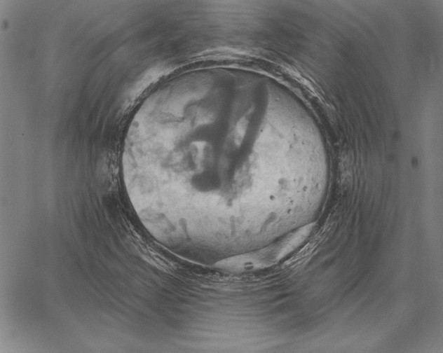 X0000067351355200604131740