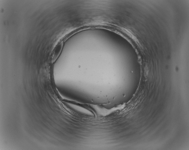 X0000067351356200604131740