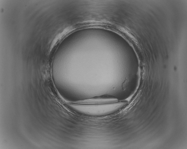 X0000067351357200604131740