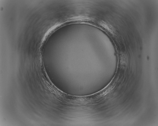 X0000067351358200604131740