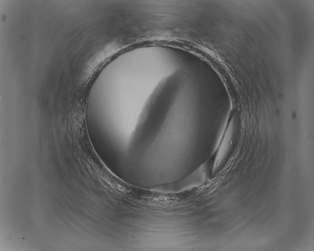 X0000067351359200604131740