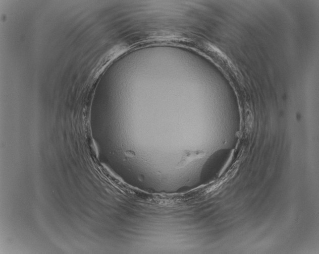 X0000067351361200604131740