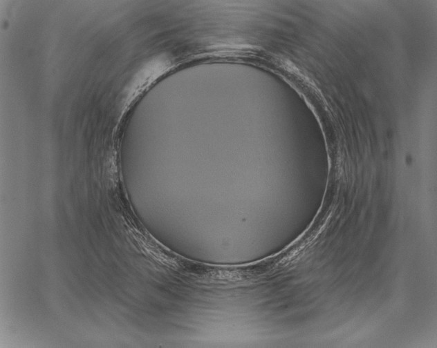 X0000067351362200604131740