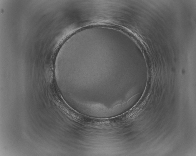 X0000067351363200604131740