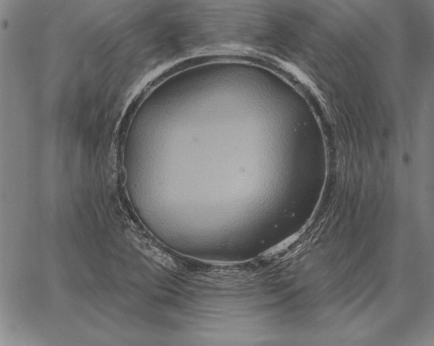 X0000067351364200604131740