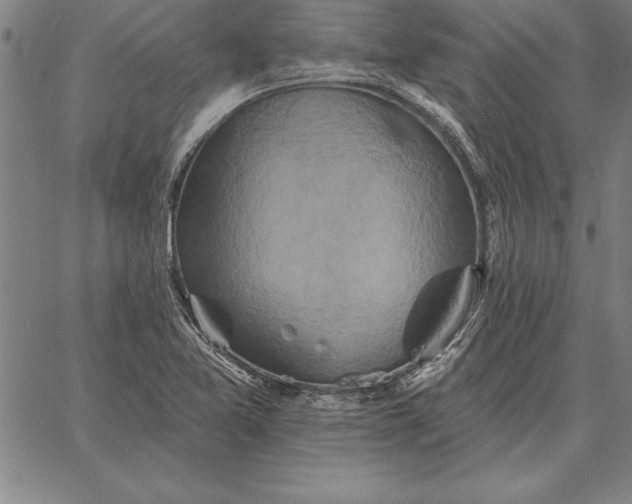 X0000067351365200604131740