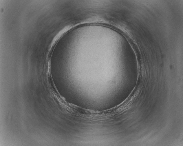 X0000067351366200604131740