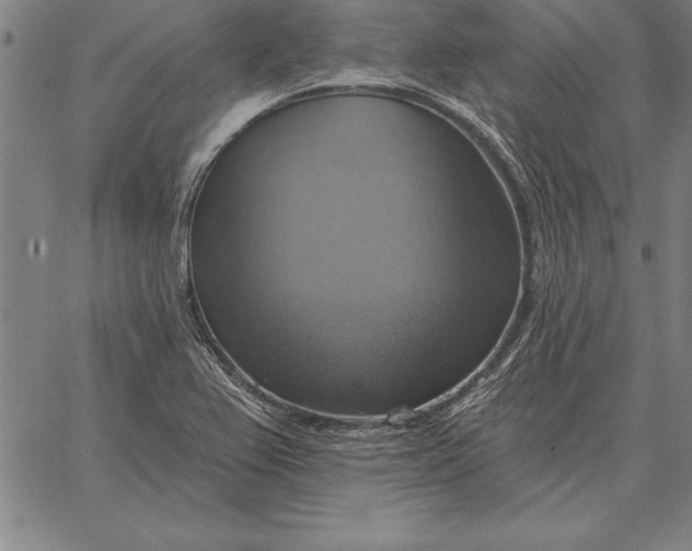 X0000067351367200604131740