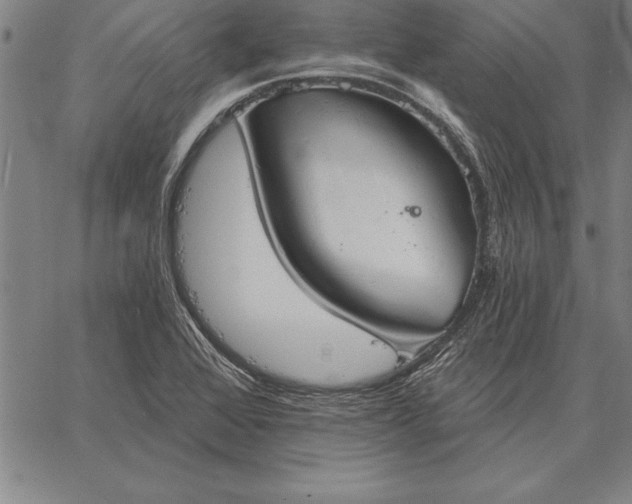 X0000067351368200604131740