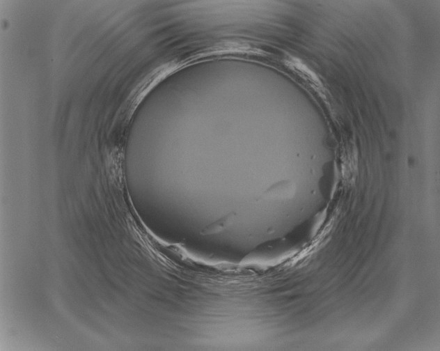 X0000067351369200604131740