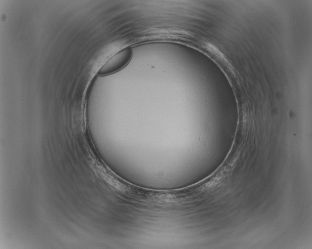 X0000067351370200604131740