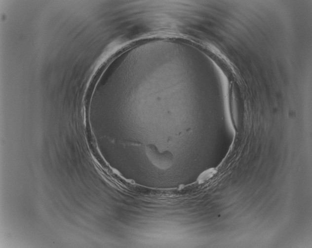 X0000067351372200604131740