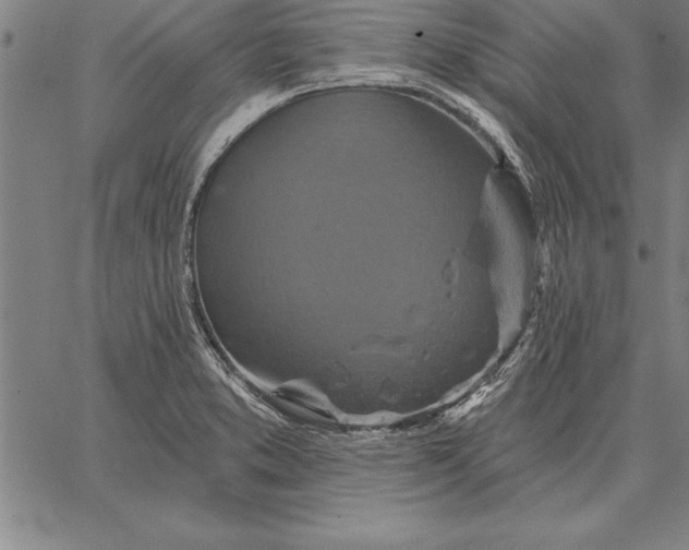 X0000067351373200604131740