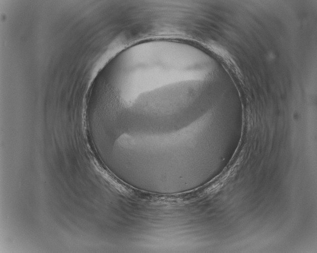 X0000067351374200604131740