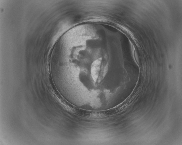 X0000067351375200604131740