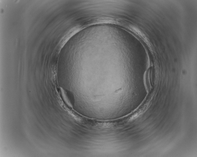 X0000067351377200604131740