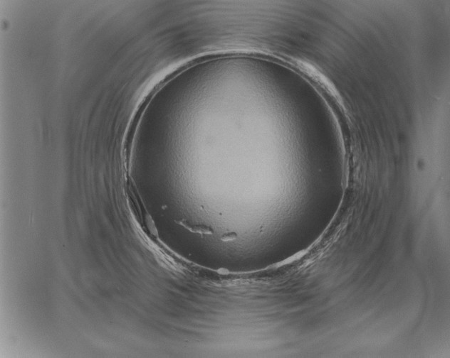 X0000067351380200604131740