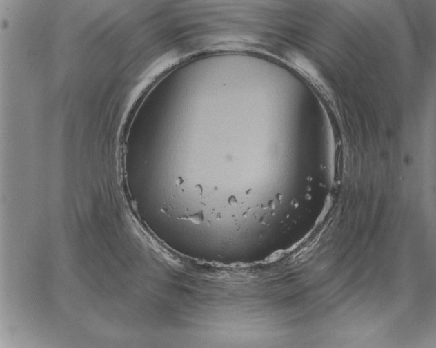 X0000067351384200604131740