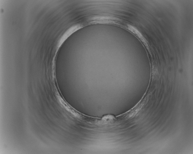 X0000067351386200604131740