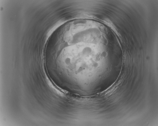 X0000067351387200604131740