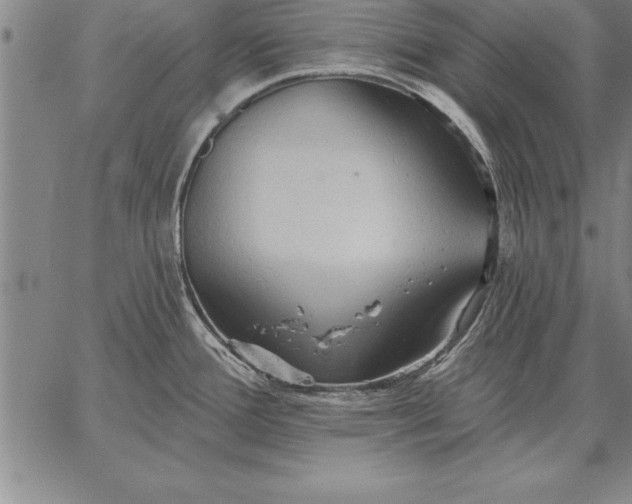 X0000067351388200604131740