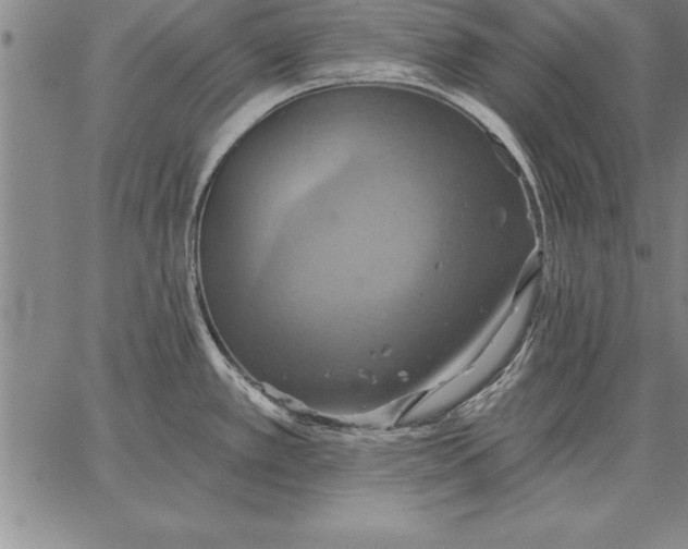 X0000067351389200604131740