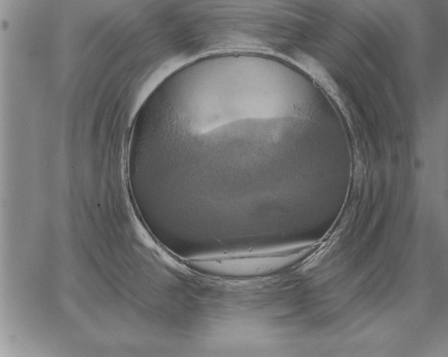 X0000067351390200604131740