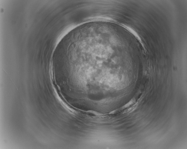 X0000067351391200604131740