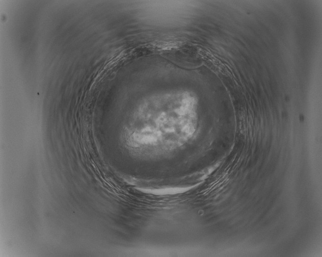 X0000067351393200604131739