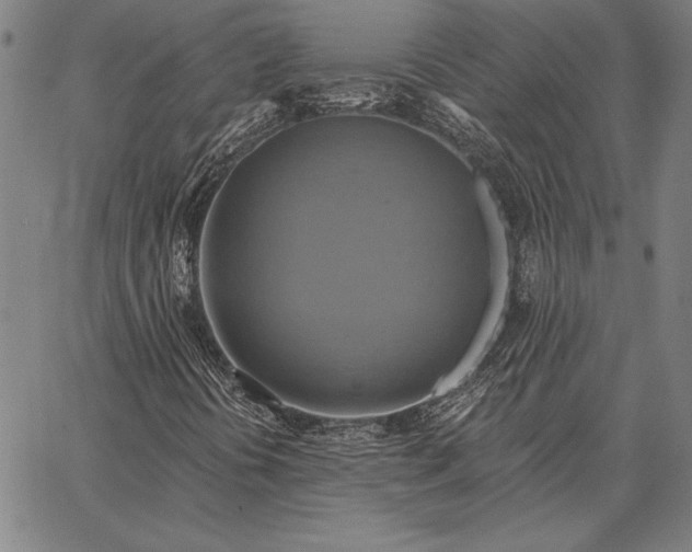 X0000067351394200604131739