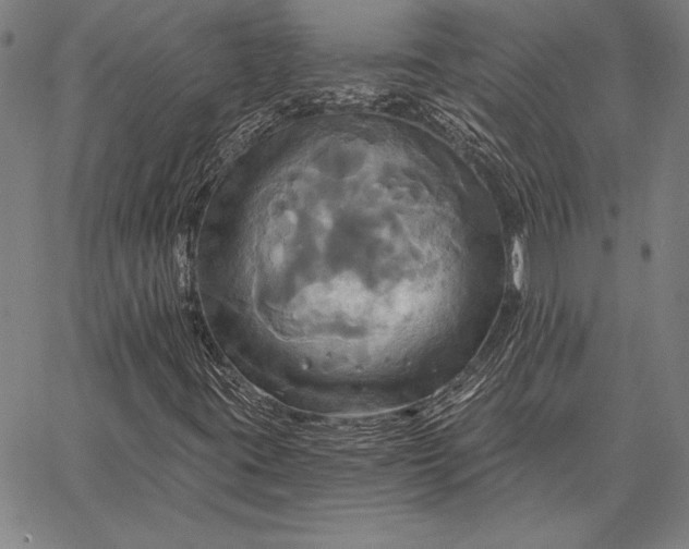 X0000067351395200604131739