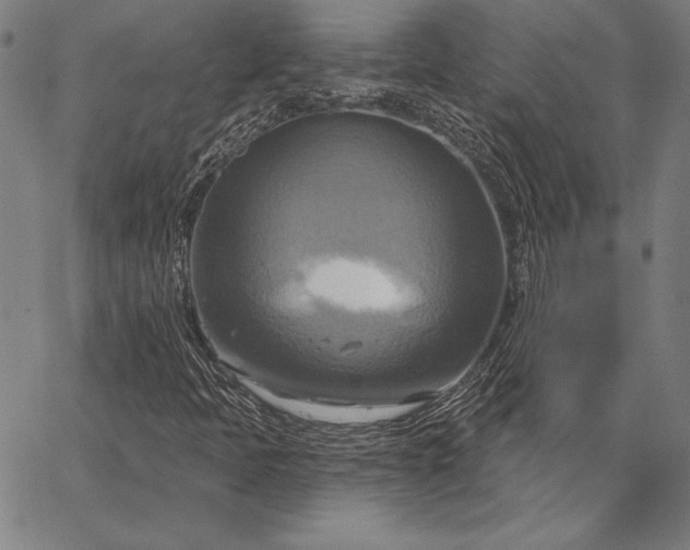 X0000067351397200604131739