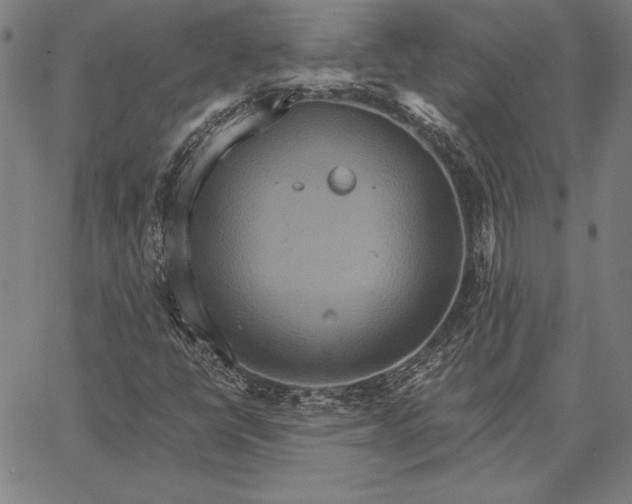 X0000067351398200604131739