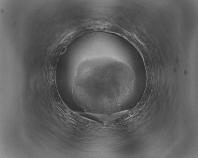 X0000067351399200604131739