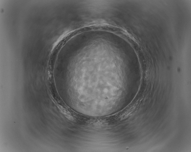 X0000067351400200604131739