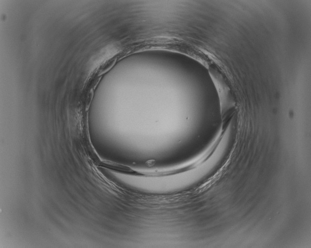 X0000067351402200604131739